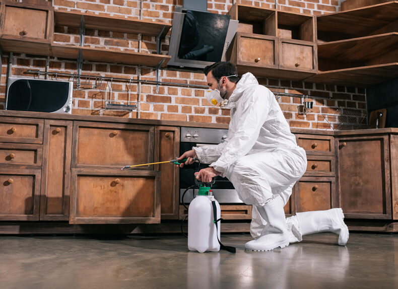pest control worker spraying pesticides in cabinet in kitchen