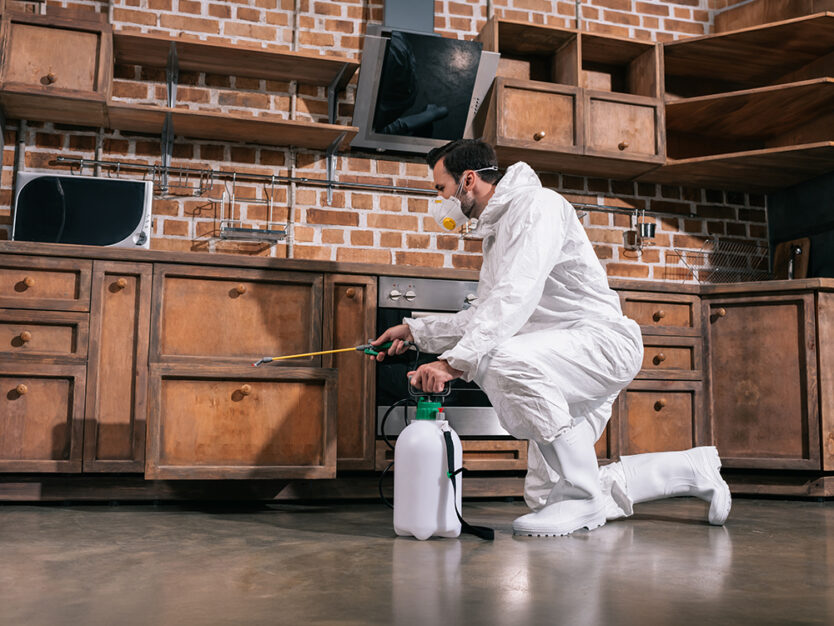 pest control worker spraying pesticides in cabinet in kitchen