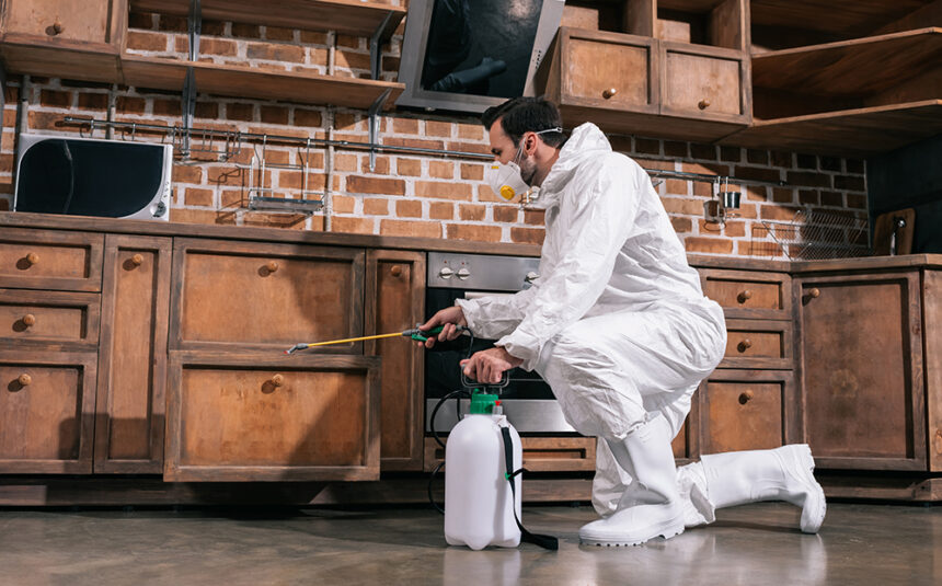 pest control worker spraying pesticides in cabinet in kitchen