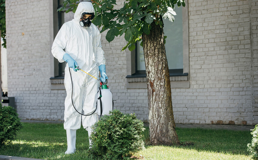 pest control worker spraying pesticides on bush