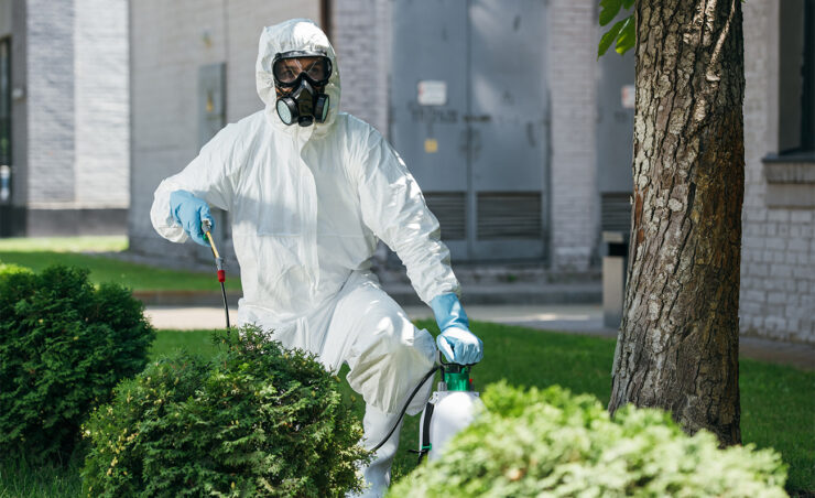 pest control worker in uniform spraying chemicals on bush