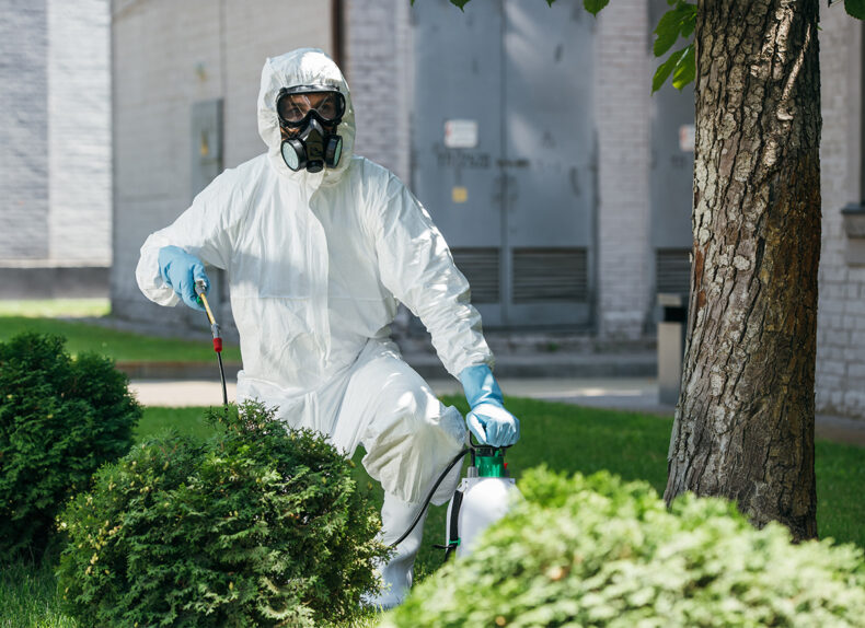 pest control worker in uniform spraying chemicals on bush