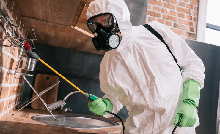 pest control worker spraying pesticides on metal shelves in kitchen