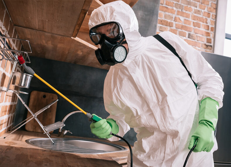 pest control worker spraying pesticides on metal shelves in kitchen