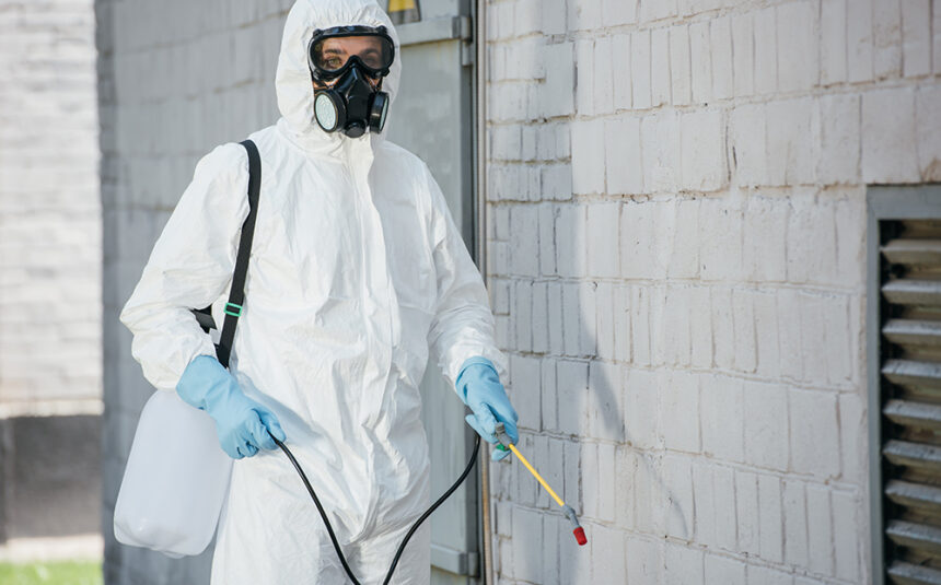 pest control worker in respirator spraying pesticides with sprayer on building wall